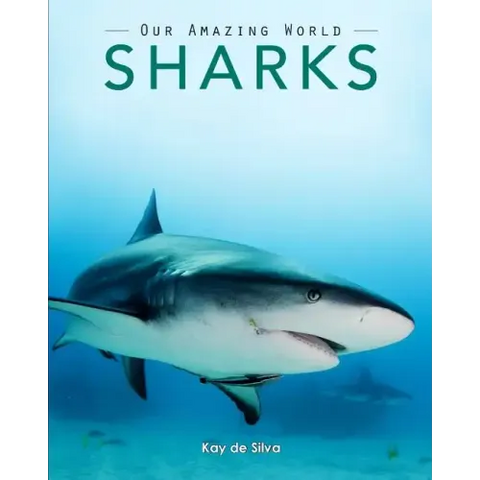 Sharks: Amazing Pictures & Fun Facts on Animals in Nature