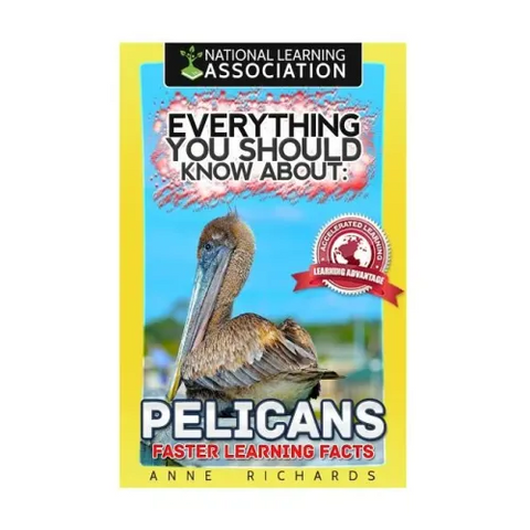 Everything You Should Know About: Pelicans Faster Learning Facts