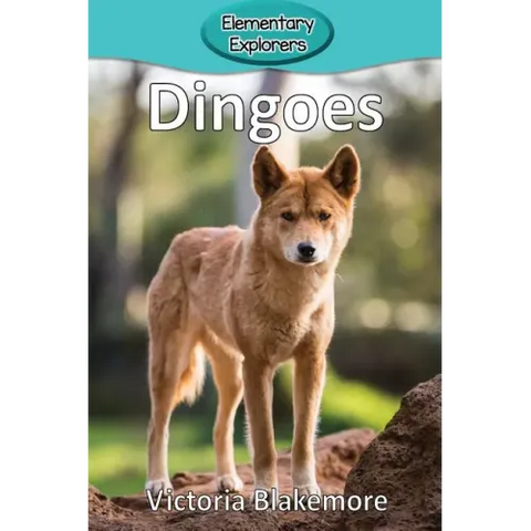 Dingoes