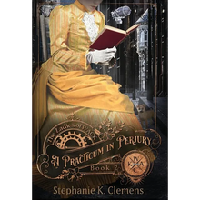 A Practicum in Perjury - Hardcover