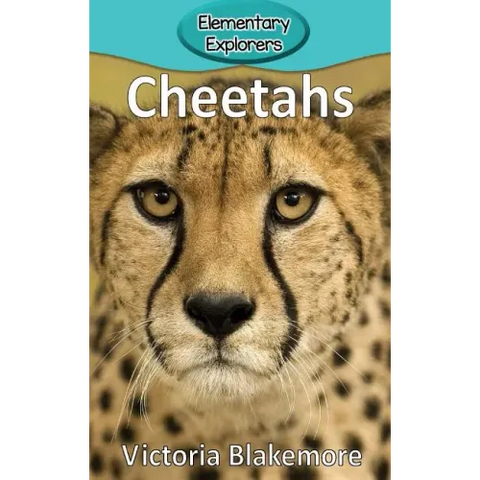 Cheetahs