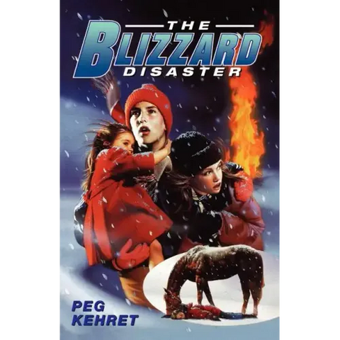 The Blizzard Disaster