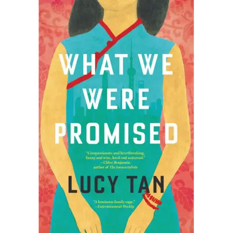 What We Were Promised