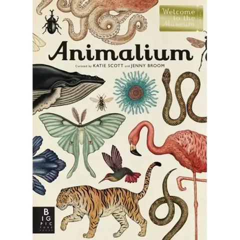 Animalium: Welcome to the Museum
