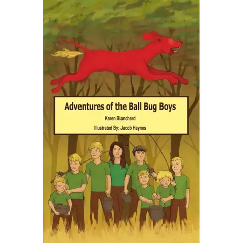 Adventures of the Ball Bug Boys
