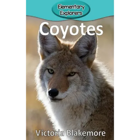 Coyotes