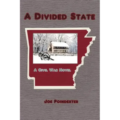 A Divided State: A Civil War Novel