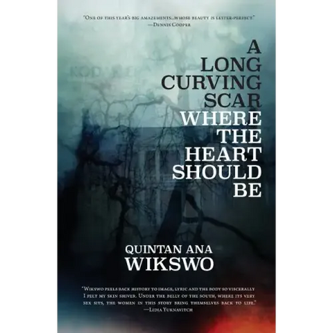 A Long Curving Scar Where The Heart Should Be