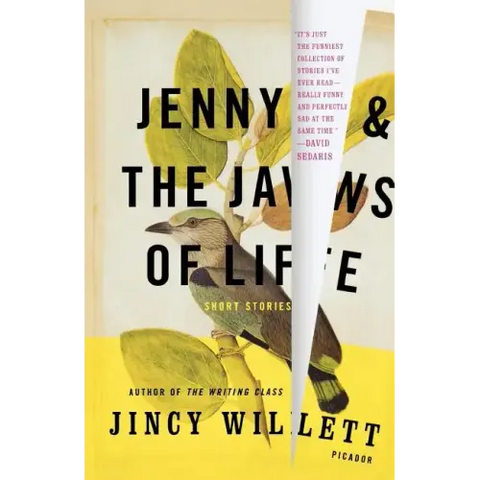 Jenny and the Jaws of Life: Short Stories
