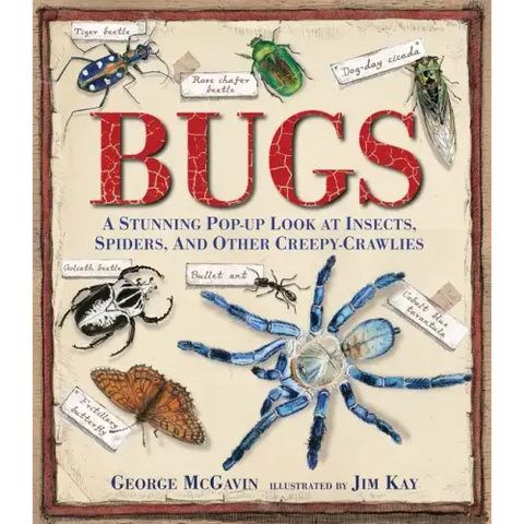 Bugs: A Stunning Pop-Up Look at Insects, Spiders, and Other Creepy-Crawlies