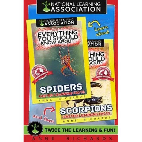 Everything You Should Know About: Scorpions and Spiders