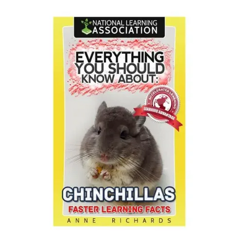 Everything You Should Know About: Chinchillas
