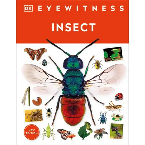 Eyewitness Insect