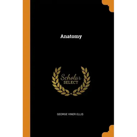 Anatomy