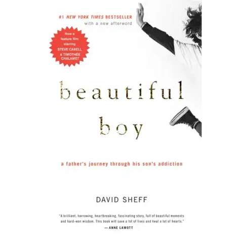 Beautiful Boy: A Father's Journey Through His Son's Addiction