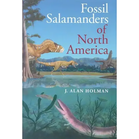 Fossil Salamanders of North America