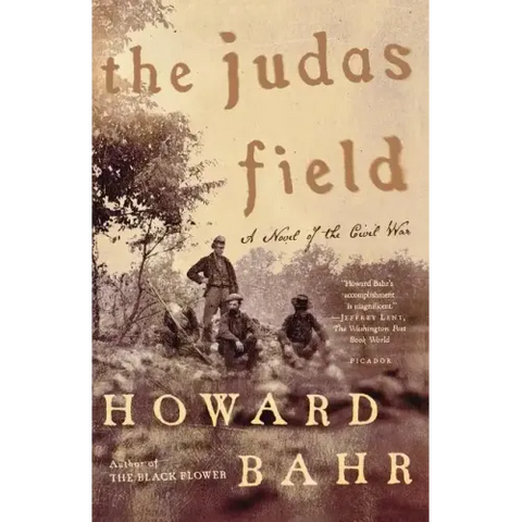 The Judas Field: A Novel of the Civil War