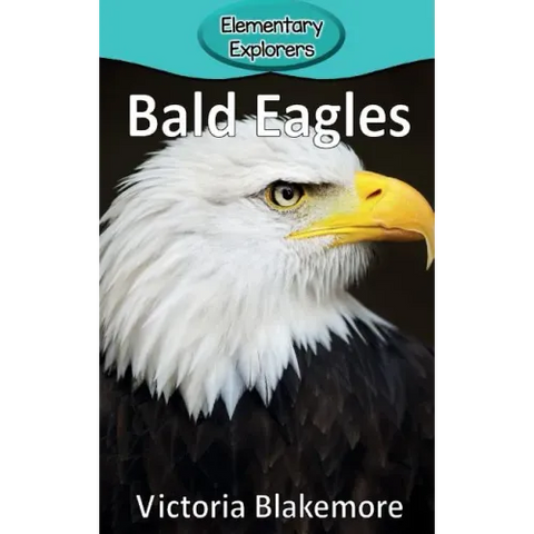 Bald Eagles