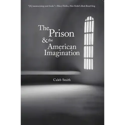 The Prison and the American Imagination