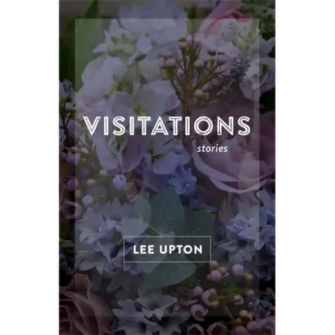 Visitations: Stories