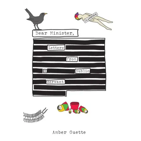 Dear Minister, Letters from a Public Servant