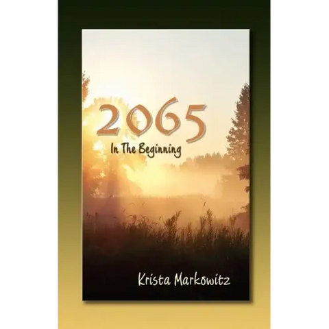 2065 in the Beginning