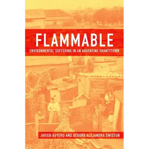 Flammable: Environmental Suffering in an Argentine Shantytown