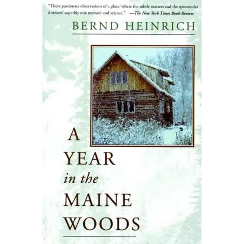 A Year in the Maine Woods