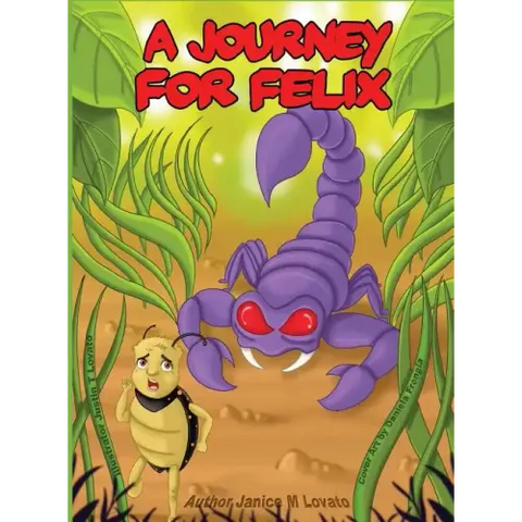 A Journey for Felix