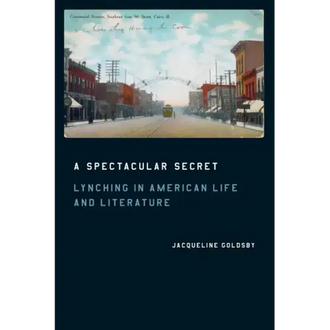 A Spectacular Secret: Lynching in American Life and Literature
