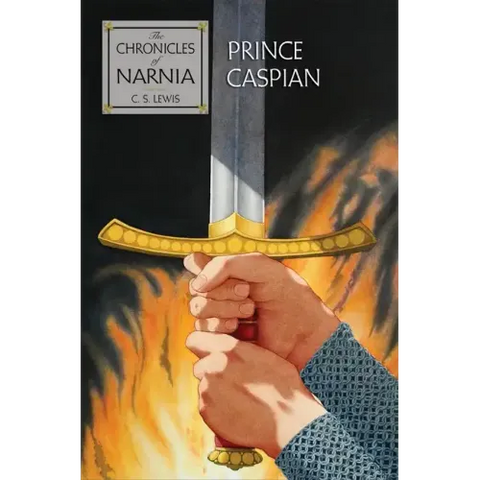Prince Caspian: The Return to Narnia