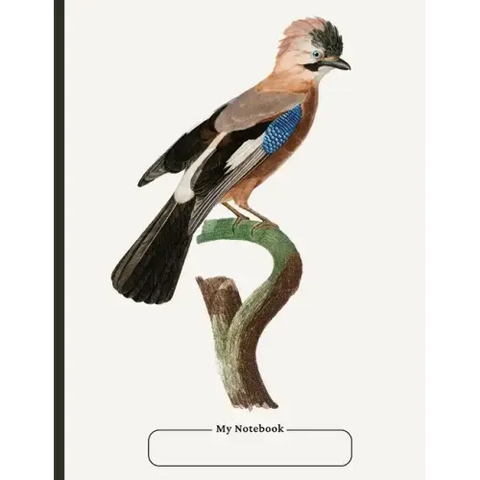 Cornell Notebook, college ruled, with dot grid note-taking area, 100 pages, large size 8.5 x 11, with Table of Contents