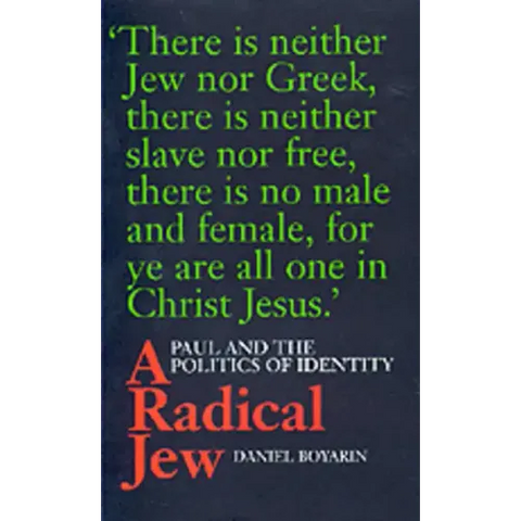 A Radical Jew: Paul and the Politics of Identity Volume 1