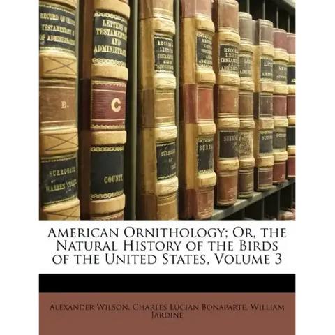 American Ornithology; Or, the Natural History of the Birds of the United States, Volume 3