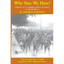 Why Stay We Here?: Odyssey of a Canadian officer in France in World War I - Paperback