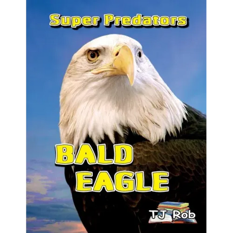 Bald Eagle: (Age 5 - 8)