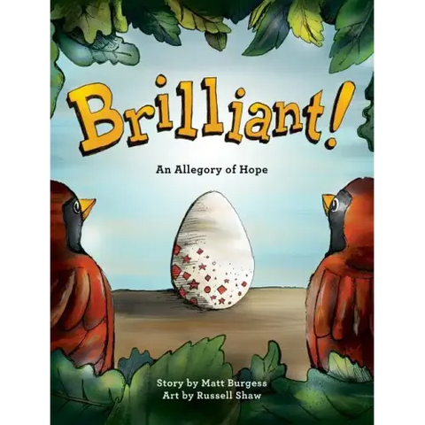 Brilliant!: An Allegory of Hope (About Adoption & Fostering) with behind-the-scenes pictorial guide
