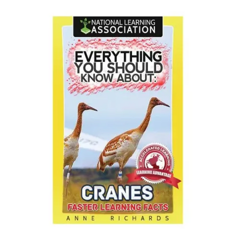 Everything You Should Know About: Cranes