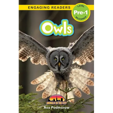 Owls: Animals in the City (Engaging Readers, Level Pre-1) - Paperback