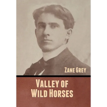 Valley of Wild Horses - Hardcover