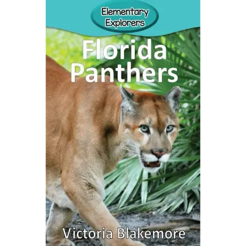 Florida Panthers