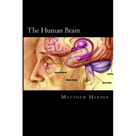 The Human Brain: A Fascinating Book Containing Human Brain Facts, Trivia, Images & Memory Recall Quiz: Suitable for Adults & Children