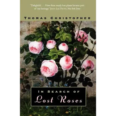 In Search of Lost Roses