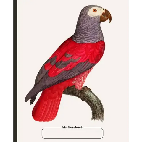 Cornell Notebook, college ruled, with dot grid note-taking area, 100 pages, compact size, with Table of Contents