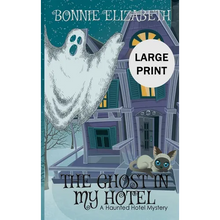 The Ghost in My Hotel - Hardcover