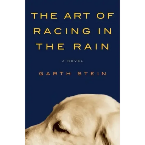 The Art of Racing in the Rain