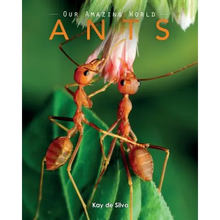 Ants: Amazing Pictures & Fun Facts on Animals in Nature - Paperback