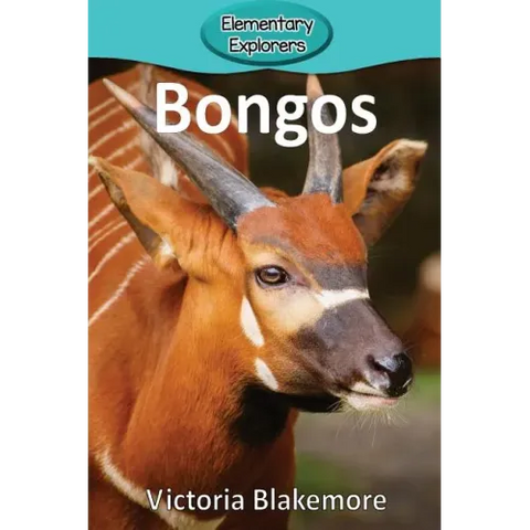 Bongos