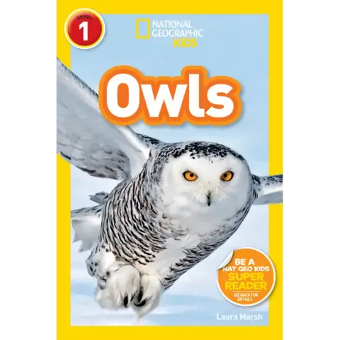 Owls (National Geographic Kids Readers, Level 1)