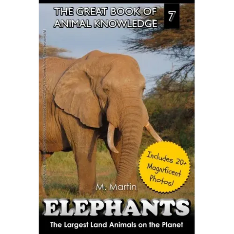Elephants: The Largest Land Animals on the Planet